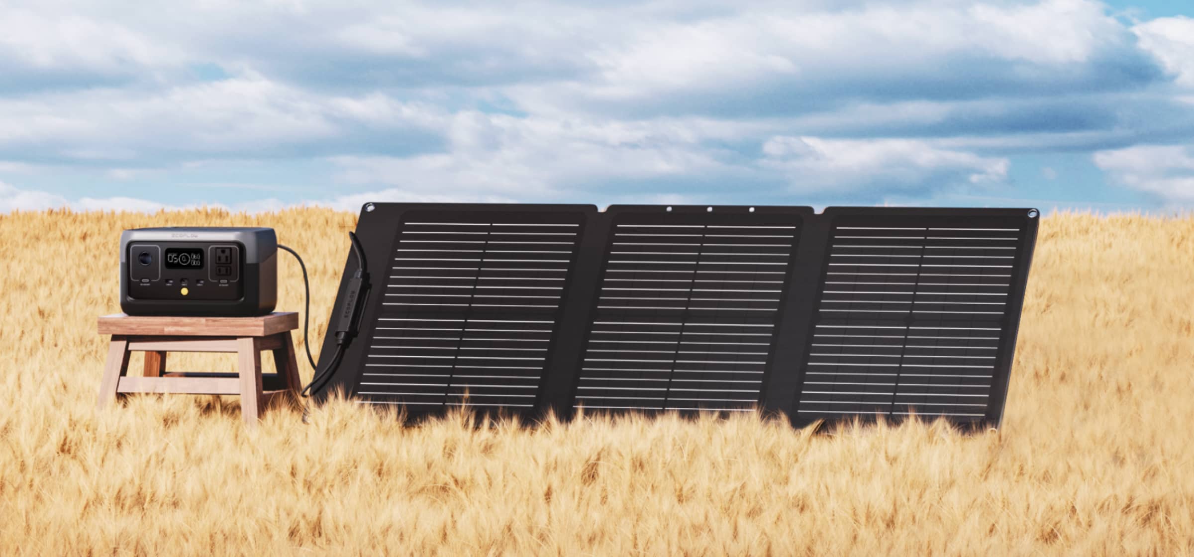 EcoFlow 60W Solar Panel - компактна та легка для подорожей